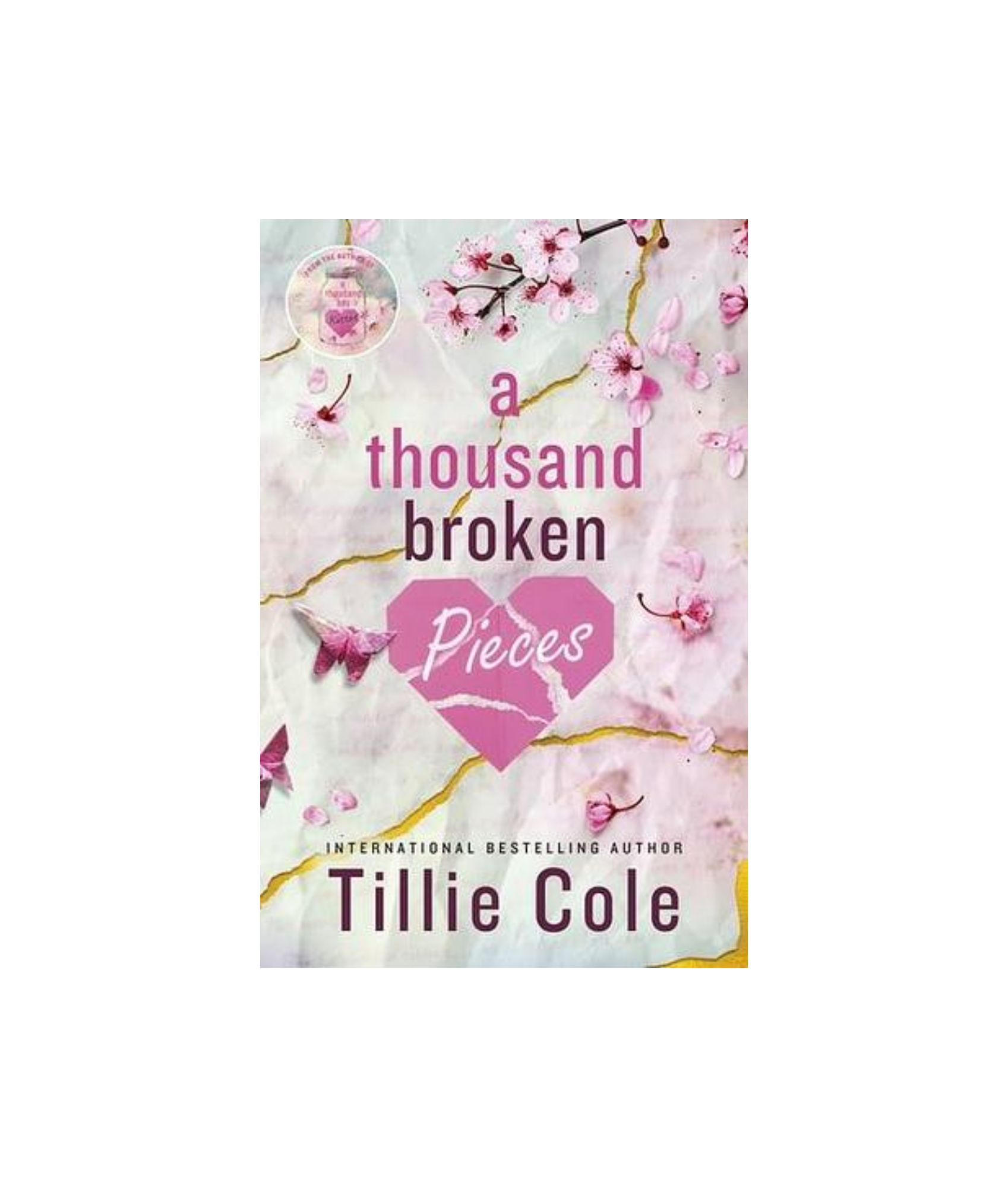 A Thousand Broken Pieces